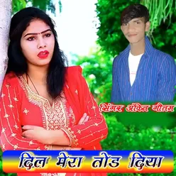 Dil Mero Tod Diya